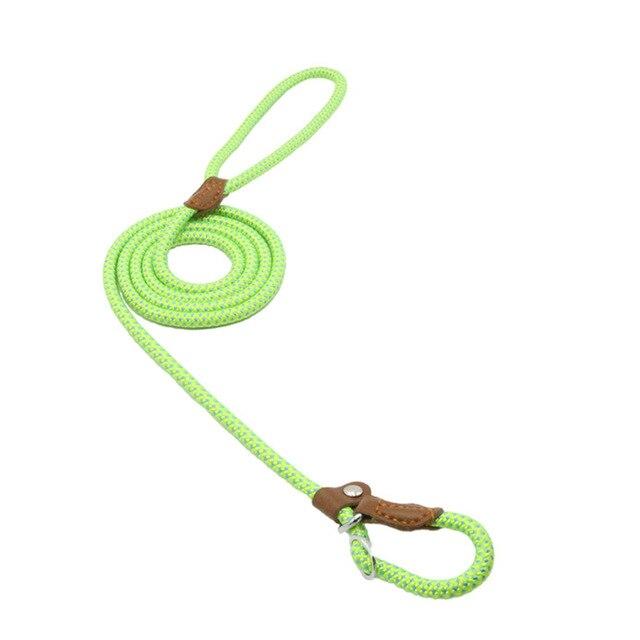 Conjunto de nailon para cachorro