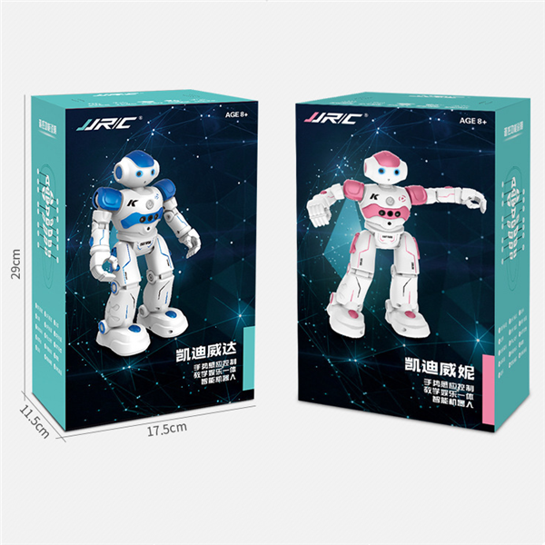 Smart Interactive Robot Toy for Kids (K Robot)